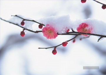 Von Fotos Realistisch Werke - Rosa Blumen Schnee Gemälde von Fotos zu Kunst